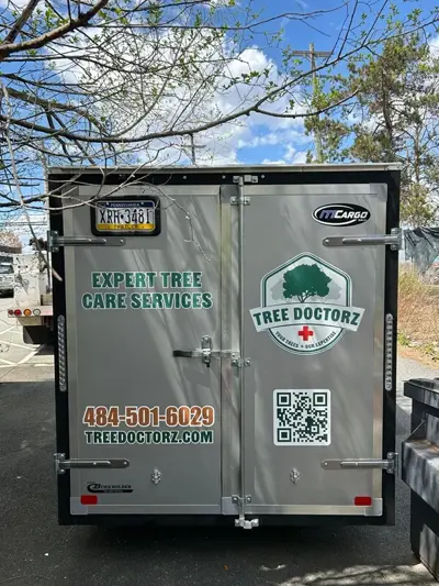 Vehicle Graphics Photo